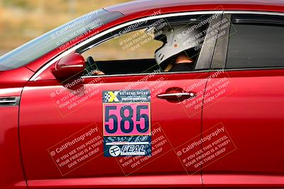 media/Feb-17-2024-Extreme Speed (Sat) [[f2f02d613c]]/Blue Group/Session 2 (Turn 14)/